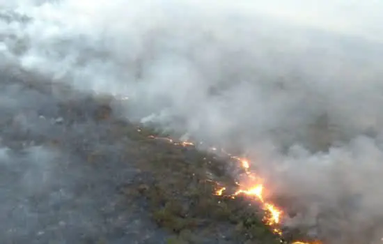 Podcast sobre Operação Corta-Fogo mostra trabalho para combater incêndios florestais