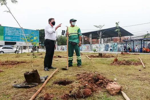 Prefeito Orlando Morando dá sequência à revitalização da Avenida Luiz Pequini