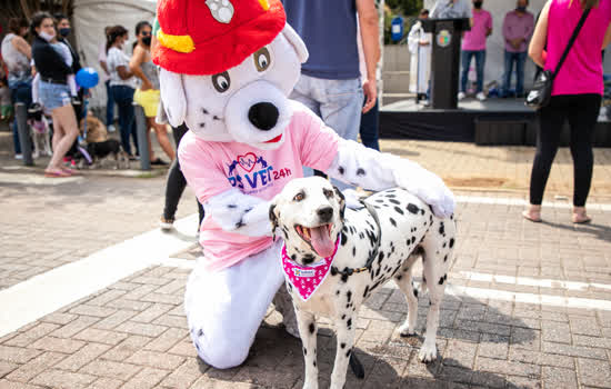 São Caetano realiza Outubro Rosa Pet