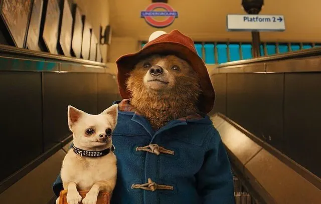 ‘Paddington 3’: saiba quais atores farão parte do elenco da nova sequência infantil