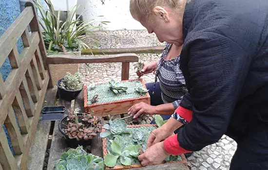 Clube de Jardinagem ensina a montar jardineiras em Ribeirão Pires