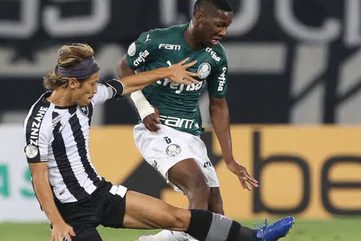 Botafogo vence Palmeiras e acaba com último invicto do Campeonato Brasileiro