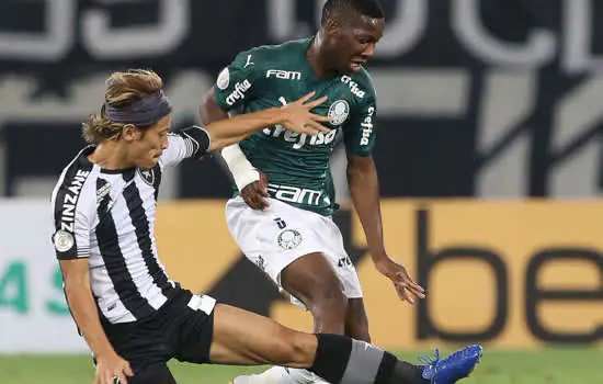 Botafogo vence Palmeiras e acaba com último invicto do Campeonato Brasileiro