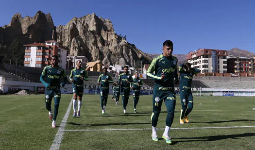 Palmeiras enfrenta Bolívar fora de casa pela Libertadores