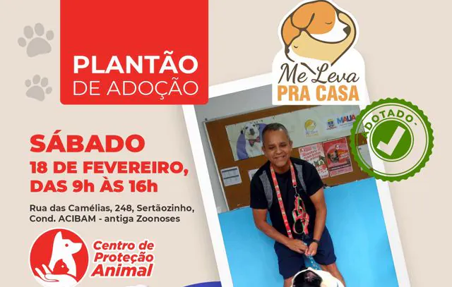 Mauá realiza plantão de adoção de cães e gatos no Carnaval