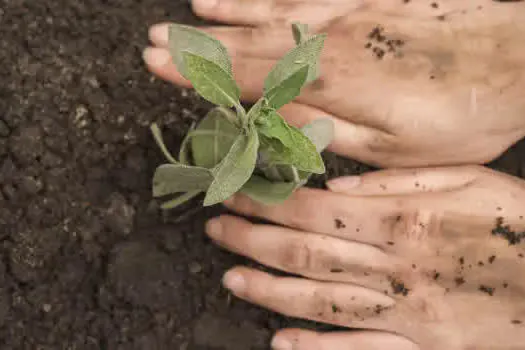 Comgás lança campanha de conscientização ambiental e digital