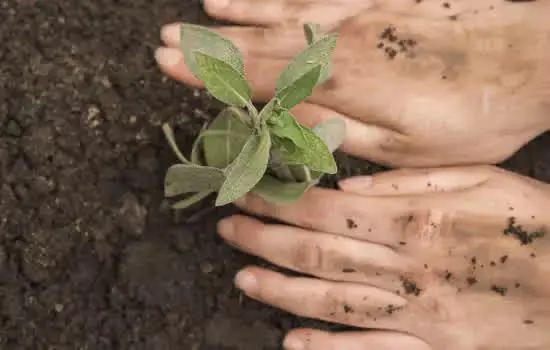 Comgás lança campanha de conscientização ambiental e digital