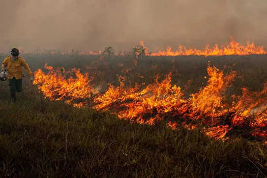 PF deflagra operação contra incêndio, desmatamento e usurpação de terras no AM