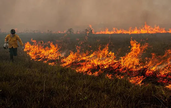 PF deflagra operação contra incêndio