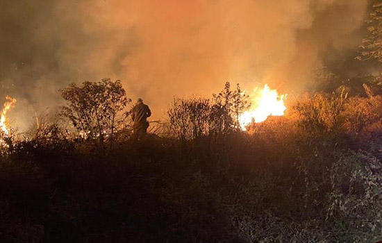 Focos de incêndio voltam a atingir o Pantanal