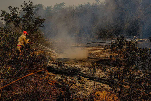 Senadores ouvem especialistas para elaborar Estatuto do Pantanal