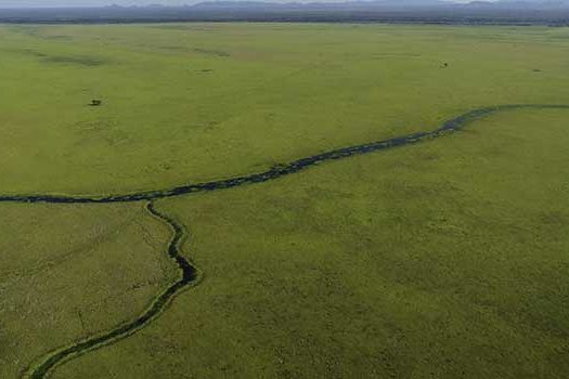 “Documenta Pantanal” reúne artistas