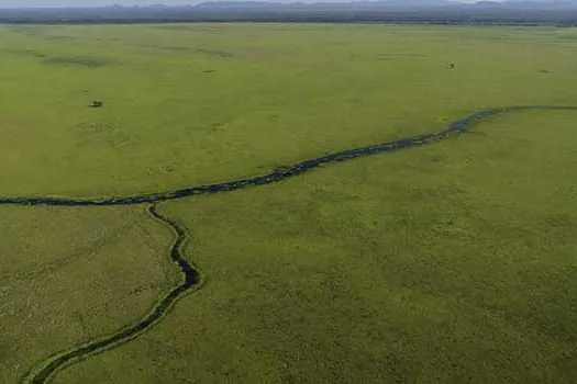 “Documenta Pantanal” reúne artistas, ambientalistas e empresários para criação de projetos