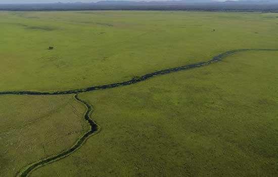 “Documenta Pantanal” reúne artistas