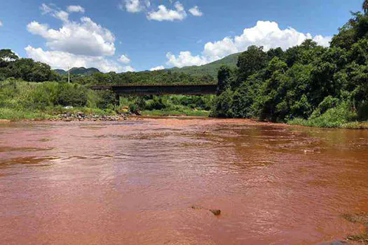 Rio Paraopeba tem nível de metais 600 vezes maior que o permitido