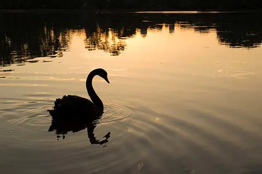 Ibirapuera e outros 69 parques reabrem em SP na segunda