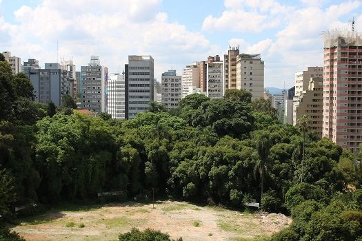 Após anos de disputa, Parque Augusta será inaugurado neste sábado