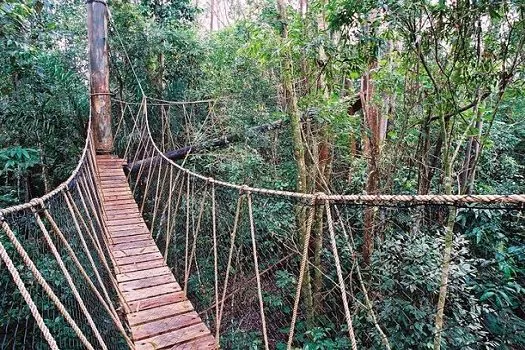 Parque das Neblinas recebe oficina de fotografia com o celular