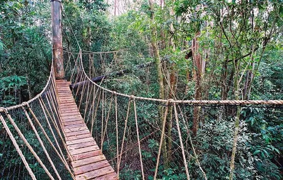 Parque das Neblinas recebe oficina de fotografia com o celular