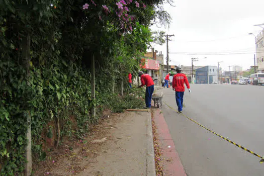 Semasa inicia cercamento de parte da área do Parque do Pedroso