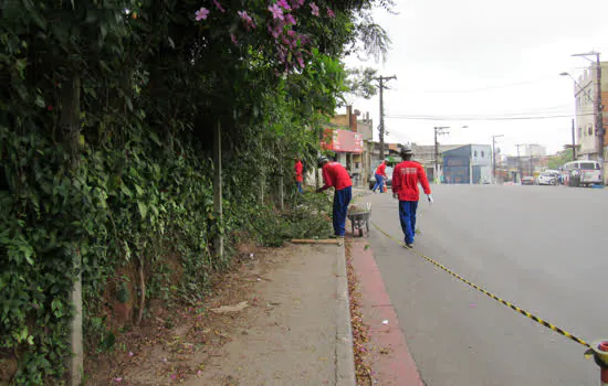 Semasa inicia cercamento de parte da área do Parque do Pedroso