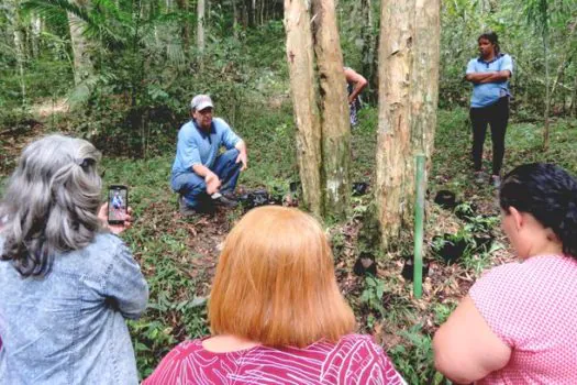 Mata Atlântica é tema de minicurso oferecido pela Educação Ambiental do Semasa