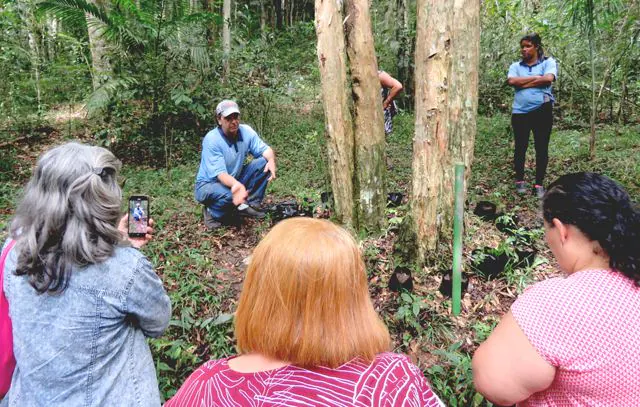 Mata Atlântica é tema de minicurso oferecido pela Educação Ambiental do Semasa