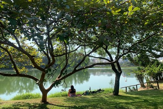 Urbia realiza lives para discutir práticas sustentáveis na gestão do Parque Ibirapuera