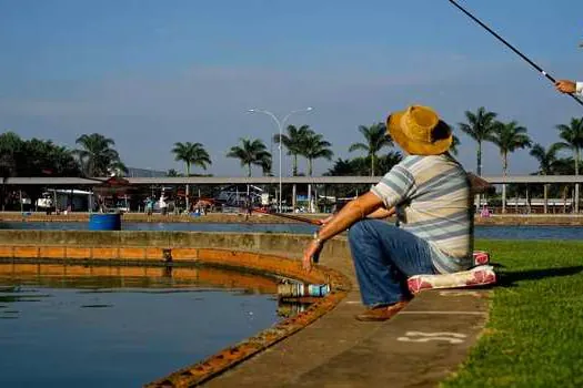 Propostas para concessão de terminais de pesca de SP podem ser entregues nesta quarta (9)