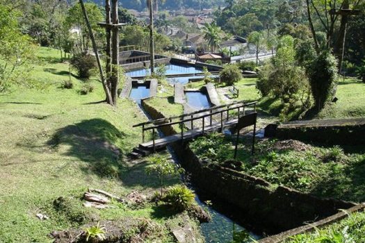 Semasa debate relação entre unidades de conservação, saúde única e emergências climáticas