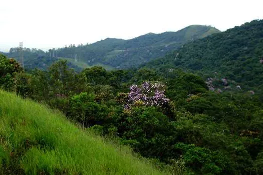 Semasa promove trilha ambiental no Parque do Pedroso neste sábado