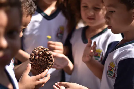 Parque Pérola da Serra recebe atividades de Educação Ambiental