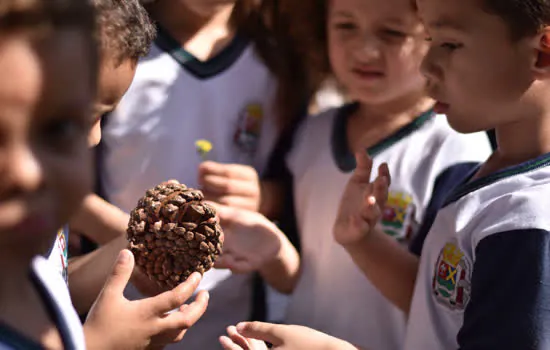 Parque Pérola da Serra recebe atividades de Educação Ambiental