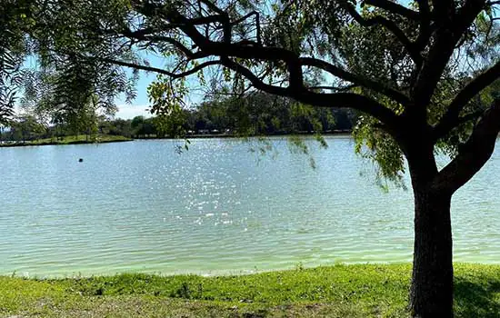 Parques urbanos estaduais na Grande SP reabrem aos fins de semana e feriados