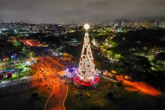 Árvore de Natal de 52 metros é inaugurada no Parque Villa-Lobos, em SP