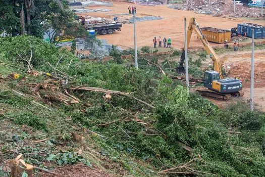 Metrô de SP derruba 145 árvores para obras na zona leste; vizinhos protestam