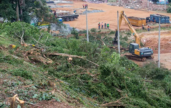 Metrô de SP derruba 145 árvores para obras na zona leste; vizinhos protestam