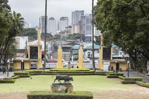 Festa Julina no Parque da Água Branca tem exposição de marcas de produtores