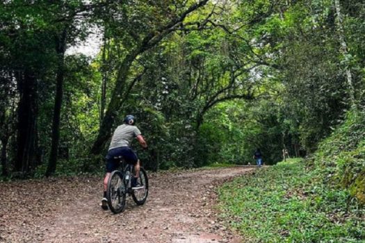 Parque Floresta Cantareira tem programação especial durante as férias de janeiro