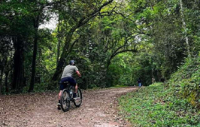 Parque Floresta Cantareira tem programação especial durante as férias de janeiro