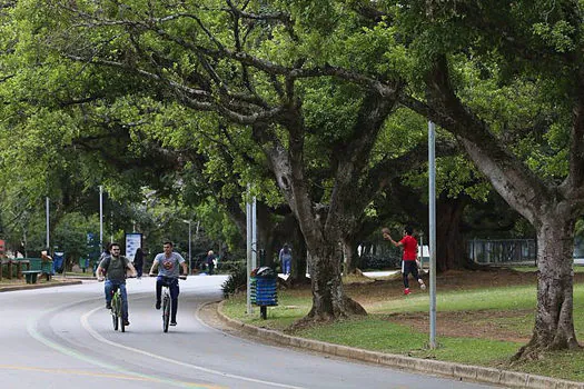 Saúde SP faz análises em areias de escolas e parques e alerta contra parasitas