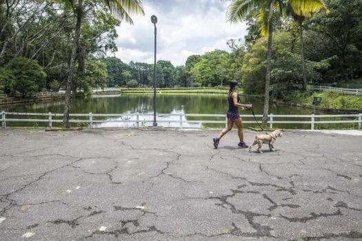 Em SP, animais domésticos não são permitidos nos Parques Naturais Municipais