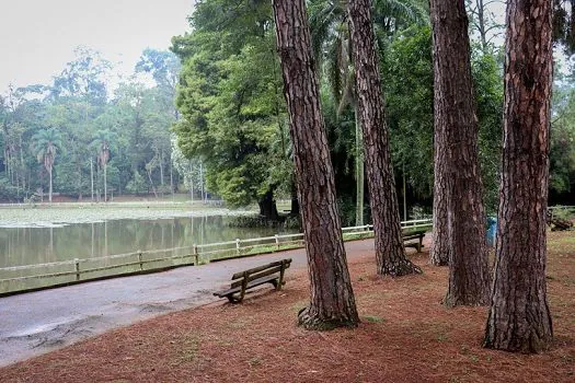 10 curiosidades sobre os Parques Horto Florestal e Floresta Cantareira