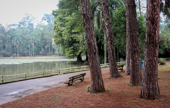 10 curiosidades sobre os Parques Horto Florestal e Floresta Cantareira