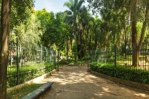 Parques municipais de SP recebem Desafio da Natureza Urbana