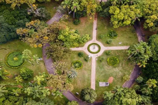 Trilha noturna e caminhada astronômica marcam a Semana do Meio Ambiente