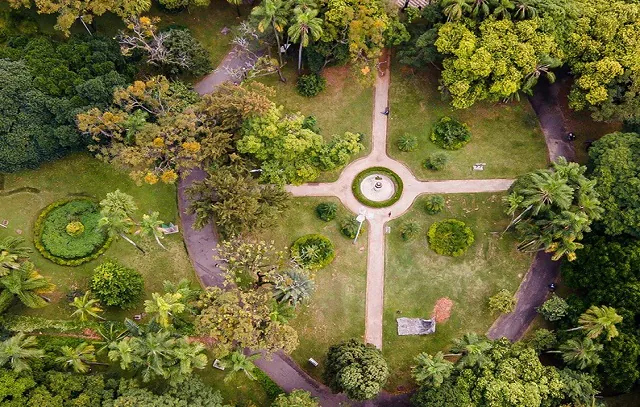 Trilha noturna e caminhada astronômica marcam a Semana do Meio Ambiente