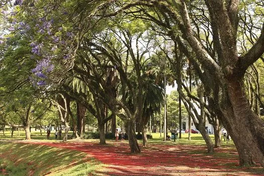 Feriado do dia 12 tem vacinação, parques municipais abertos e atividades para as crianças