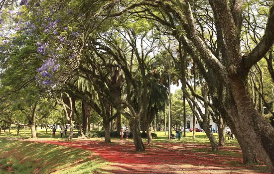 Feriado do dia 12 tem vacinação