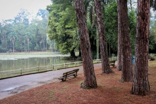 Aniversário de São Paulo: Urbia realiza tour gratuito no Parque Horto Florestal